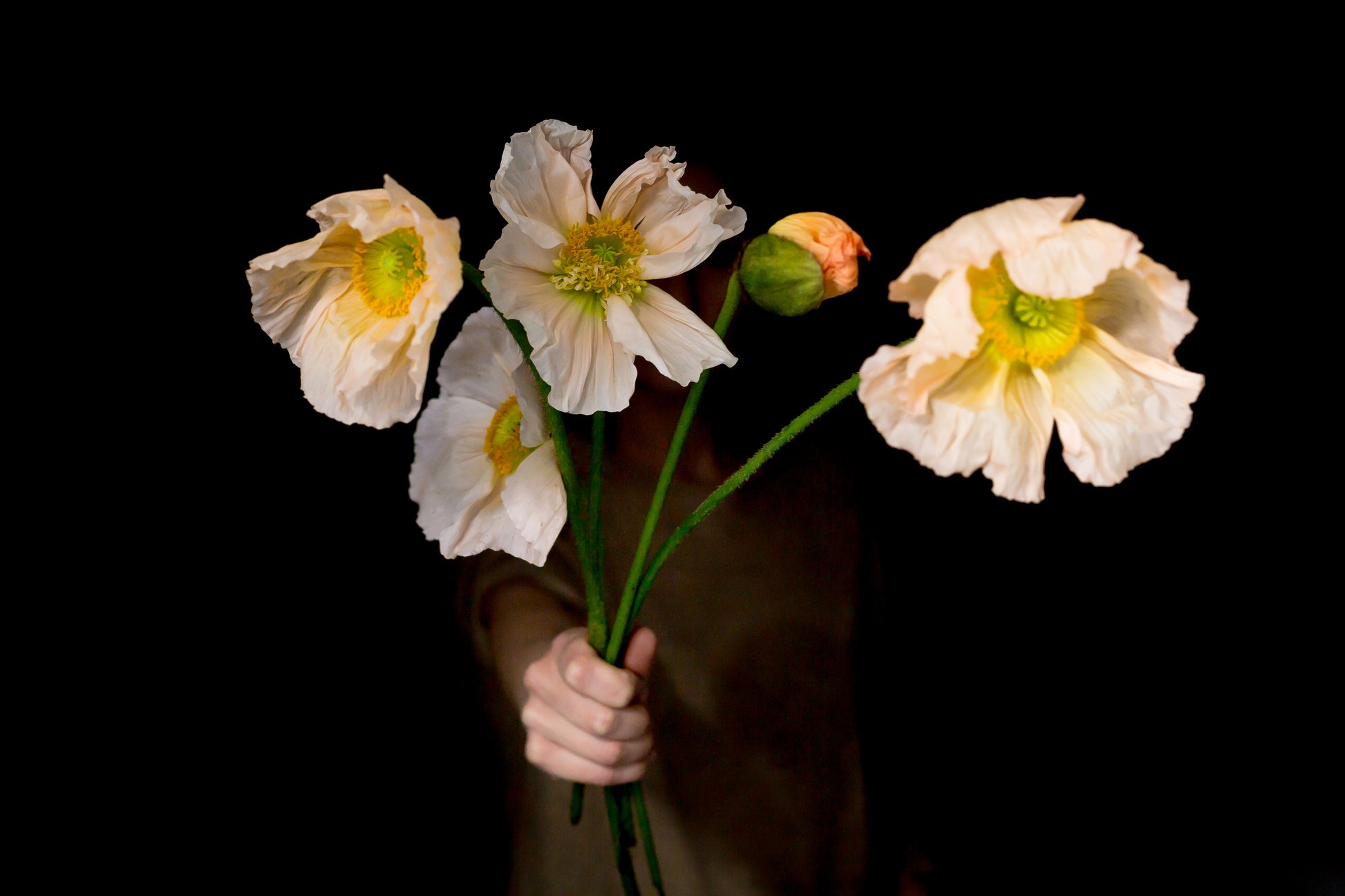A person holding a bouquet of white and yellow flowers with a black background.
