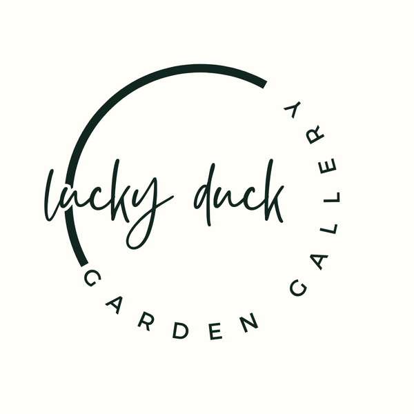 Lucky Duck Garden Gallery