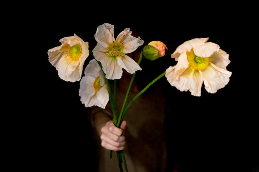A person holding a bouquet of white and yellow flowers with a black background.